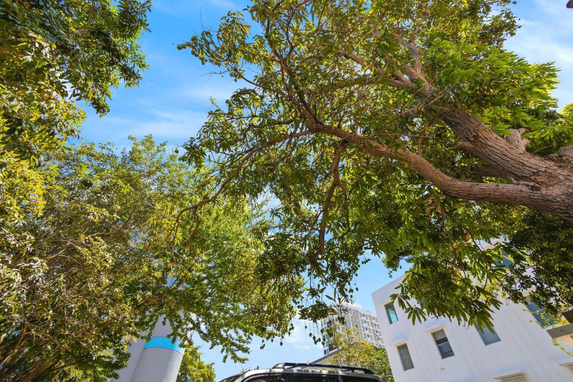 Hidden Gem In Miramar- Power Generator- Parking Apartment San Juan Bagian luar foto