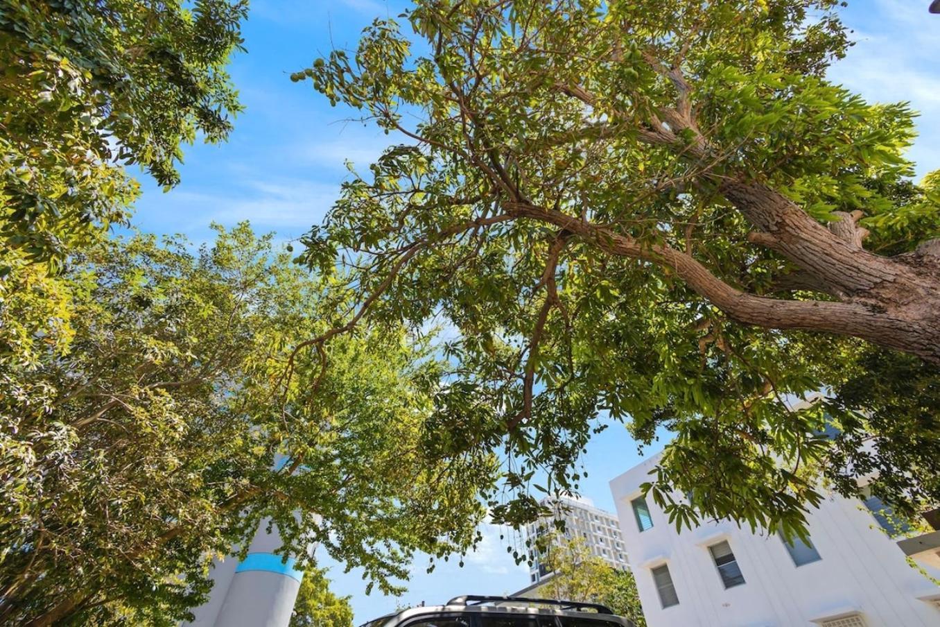 Hidden Gem In Miramar- Power Generator- Parking Apartment San Juan Bagian luar foto