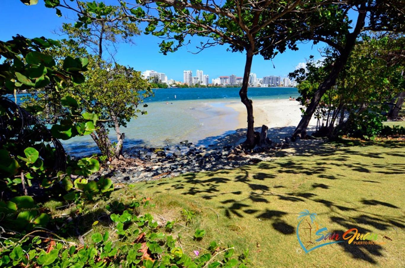 Hidden Gem In Miramar- Power Generator- Parking Apartment San Juan Bagian luar foto