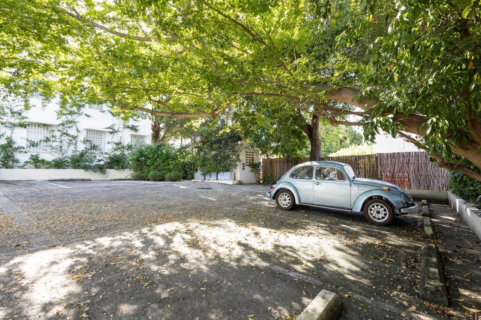 Hidden Gem In Miramar- Power Generator- Parking Apartment San Juan Bagian luar foto